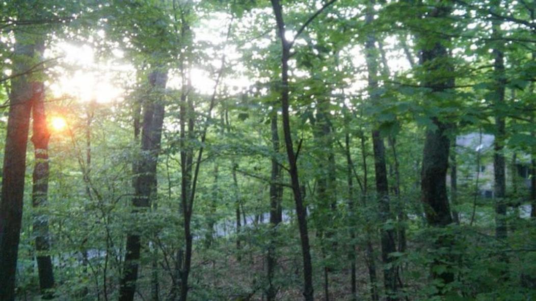 Wintergreen Mount Torry Furnace Екстериор снимка