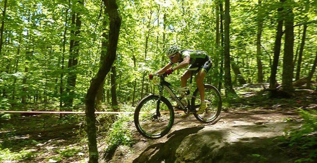 Wintergreen Mount Torry Furnace Екстериор снимка